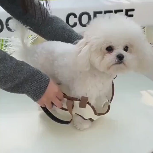 PawPack Go™